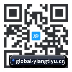 系统版 iOS 二维码